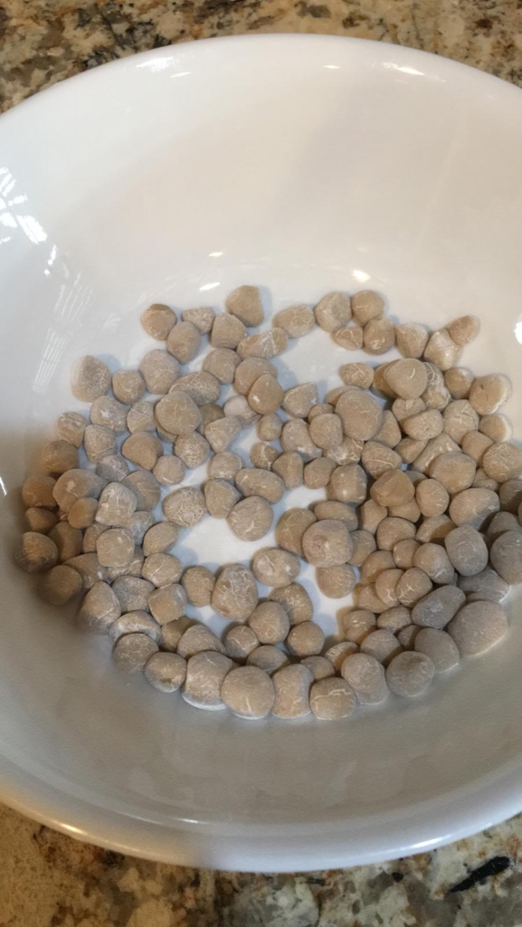 Precooked Boba